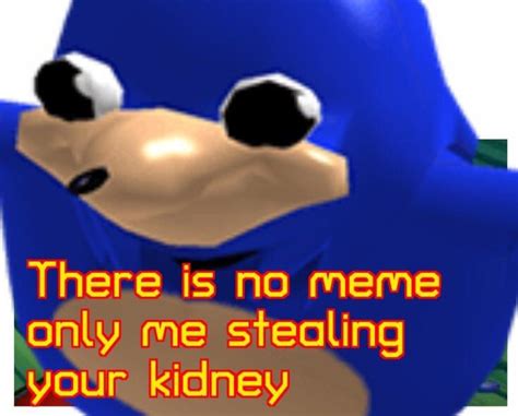 There is no meme : r/sonicmemes