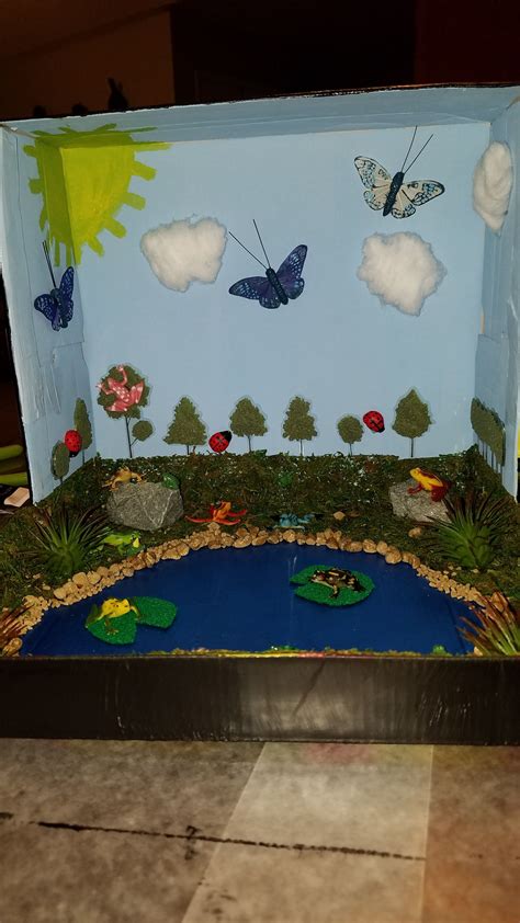 My 4 year old's Shoe box Frog Habitat Diorama Frog Crafts, Dinosaur ...