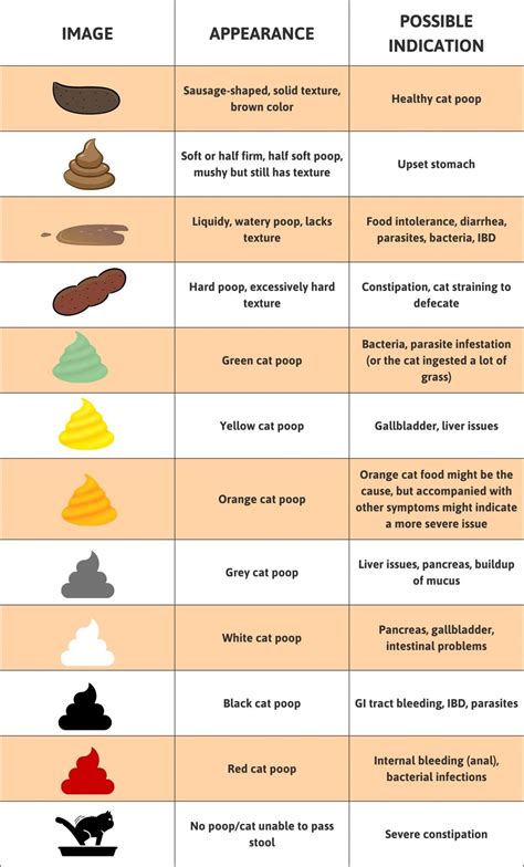 what does it mean if my dog has yellow diarrhea - orangey brown poop | poop color chart orange ...