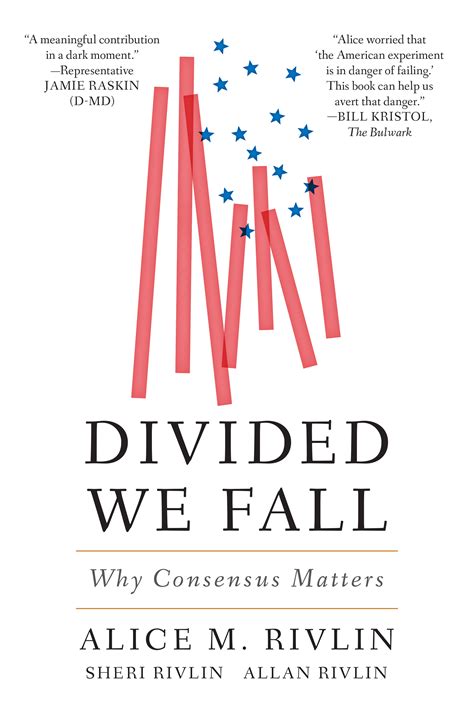 Divided We Fall | Brookings