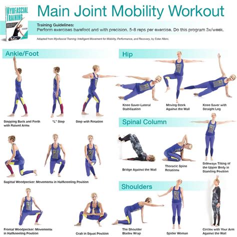 Active at home - Resistance workout - Human Kinetics