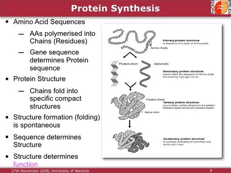 Protein Structure Alignment and Comparison