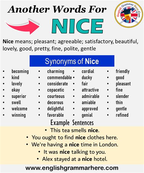 Another word for Nice, What is another, synonym word for Nice? Every ...