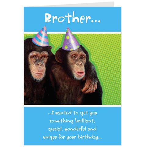 Big Brother Little Brother Birthday Quotes To Funny. QuotesGram