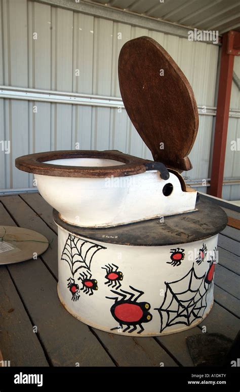 A humorous Australian toilet with a red back spider photo by Bruce ...