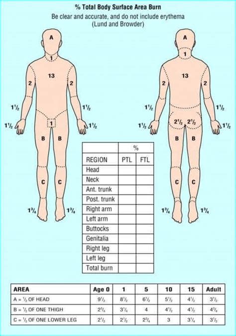 Emergency Medical Responder Course Lund and Browder Burn Chart - MEDI ...