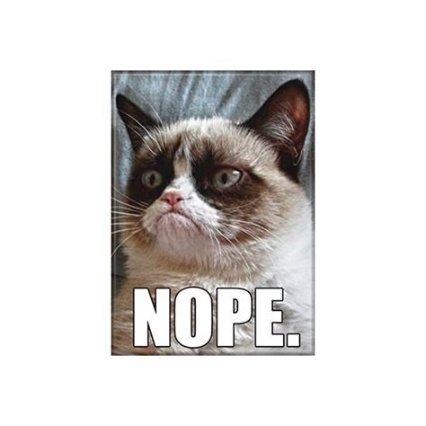 Grumpy Cat Nope Understand Magnet-Weird-Funny-Gags-Gifts-Stuff | Grumpy cat, Grumpy cat meme ...