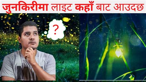 How Firefly Glow ? जुनकिरीमा लाइट कहाँ बाट आउदछ ? SP-EP#8 - YouTube