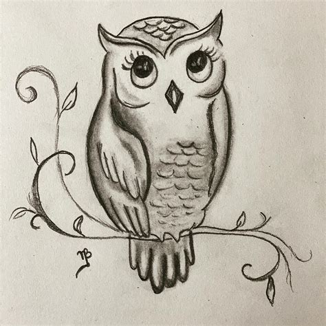 Cute Owl Drawing by Nikhil Bhola - Pixels