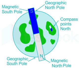 [Solved] A magnetic compass needle always points in?