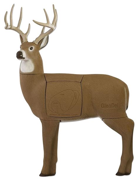 The Best 3D Deer Targets for Archery & Crossbow - 2023 Reviews