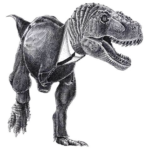 T-Rex Dinosaur. Animal Stippling and Cross Hatching B&W Drawings. Click ...