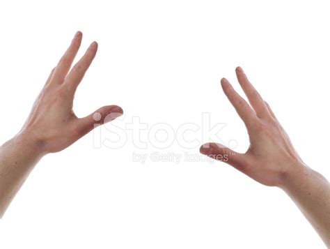 Two Hands Catching Gesture On White Background Stock Photo | Royalty-Free | FreeImages