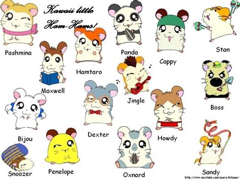 hamtaro - Google Search | การ์ตูน, น่ารัก, ดิสนีย์