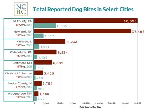 10 Dog Bite Statistics You NEED To Know!