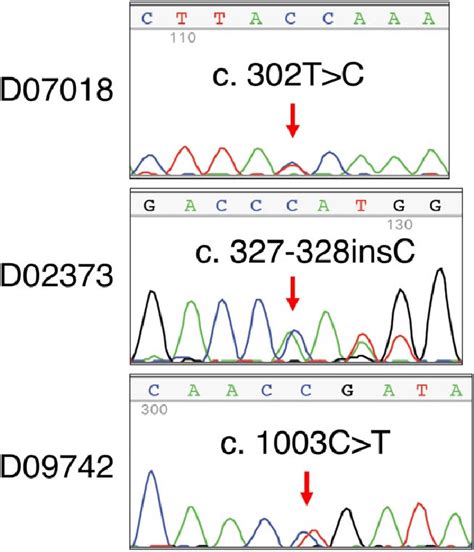 Mutation analysis of PTEN gene. All 9 exons of the human PTEN gene were... | Download Scientific ...