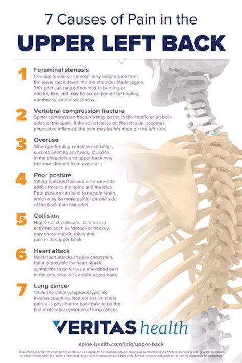 Pin on thoracic spine 5-7