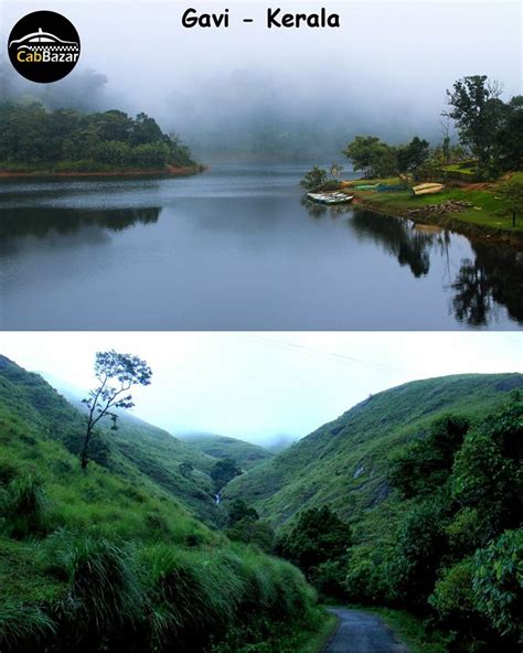 Gavi, Kerala | Cool places to visit, Ecotourism, Kerala