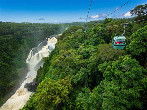 Skyrail Rainforest Cableway - Tour - Queensland