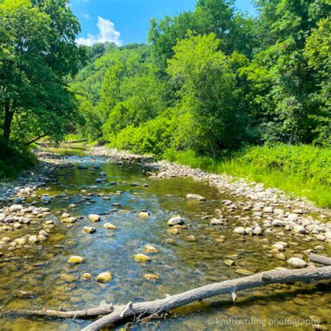 Top things to do at Camden State Park in Lynd, MN