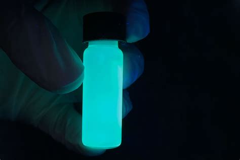 Glow Worm Tours Blue Mountains - Bioluminescent Bacteria - Grow Kit