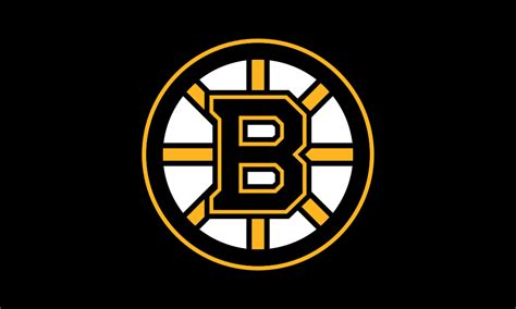 Boston Bruins flag color codes