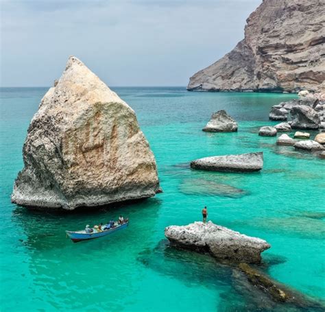 Yemen: protecting Socotra’s dwindling biodiversity