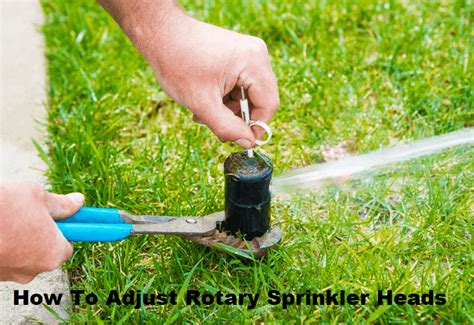 5 Best Rotor Sprinkler Heads & Rotor Nozzles Reviews 2021