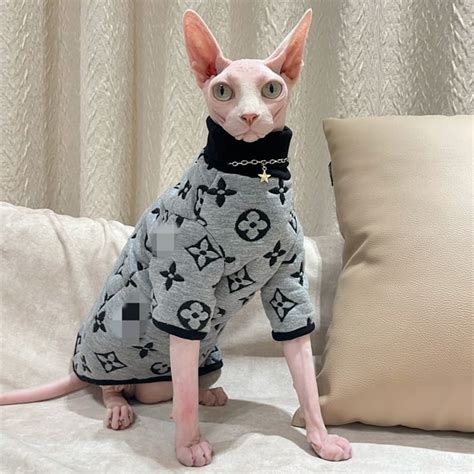 5 Best Sphynx Cat Clothes – johnmiao's blog