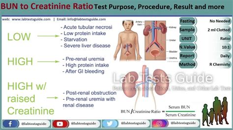 BUN to Creatinine Ratio Understanding: Importance, Normal Range, and ...