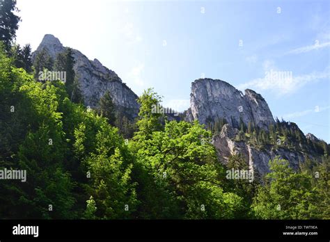 In the German Alps Stock Photo - Alamy