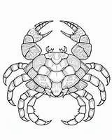 Crabs coloring Pages sketch template
