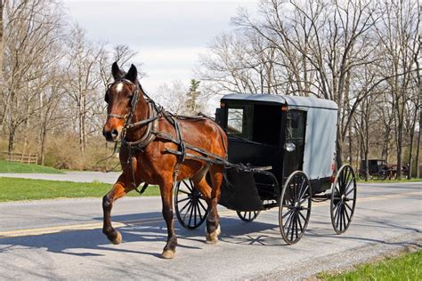 Traffic Laws Horse And Buggy’s Around The State