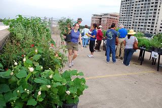 HMNS Fall Plant Sale | The Cockrell Butterfly Center is the … | Flickr