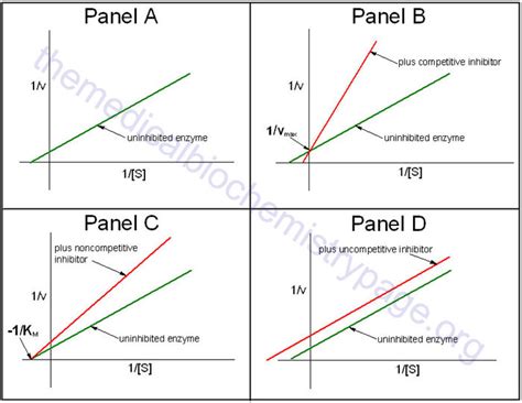 Solved Shown below are the double-reciprocal lineweaver-burk | Chegg.com