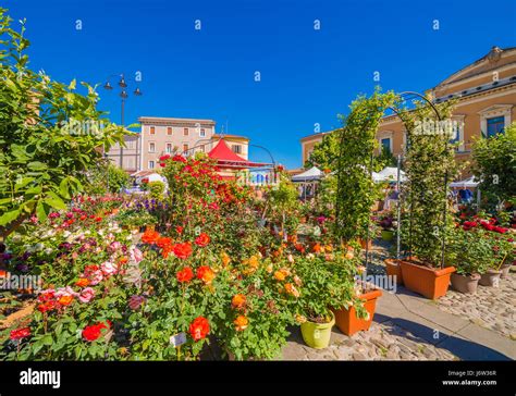 Flower fair in medieval village in Italy Stock Photo - Alamy