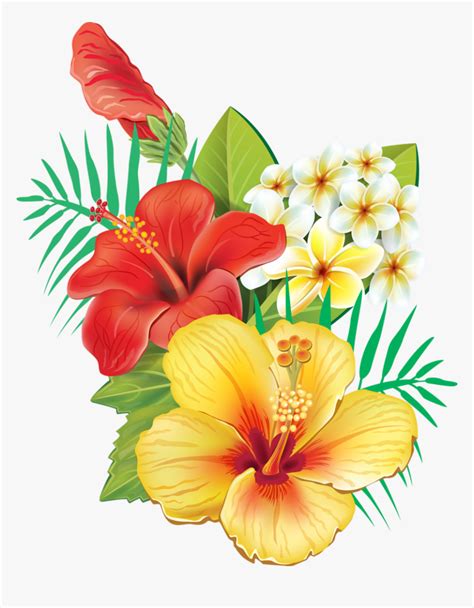 Hawaiian Tropical Flowers Png, Transparent Png - kindpng