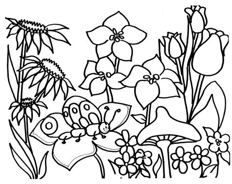 Flower Bed Drawing | Free download on ClipArtMag