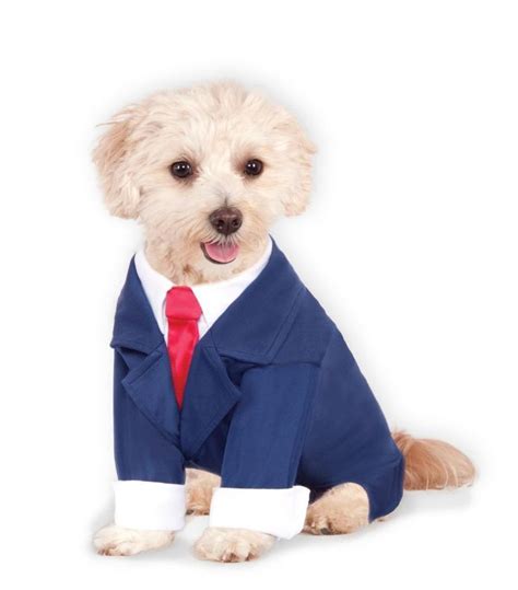 Business Suit Costume | Dog costumes funny, Pet costumes, Dog costumes