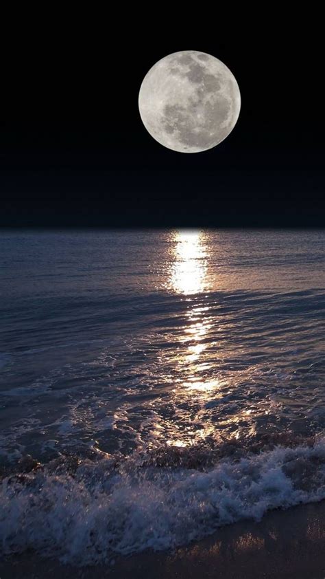 Moonlit Ocean Shore at Night