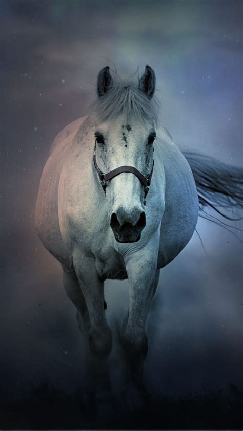 White Horse Running 4K Ultra HD Mobile Wallpaper | Horse wallpaper, Horses, White horse