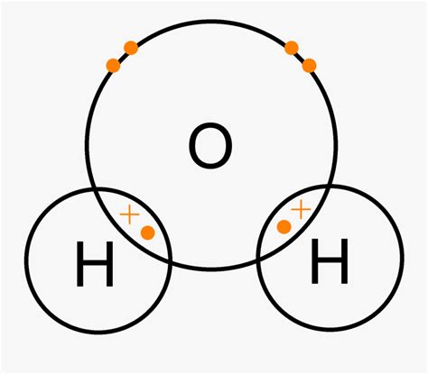 Year 9 Revision - Water Dot And Cross Diagram , Free Transparent Clipart - ClipartKey