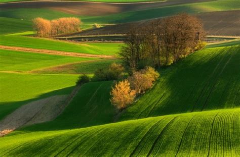 Landscapes of Southern Moravia Between Kyjov, Archlebov and Šardice