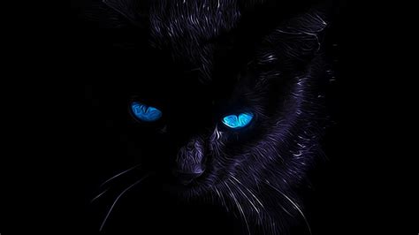 Black Cat Eyes Wallpapers - Top Free Black Cat Eyes Backgrounds - WallpaperAccess