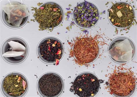 The Beginner's Guide To Different Types of Tea - Brewed Leaf Love