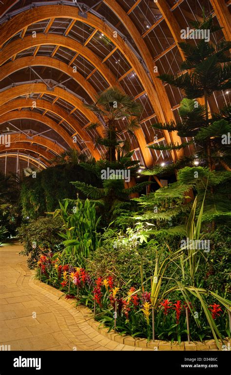 Interior of Sheffield Winter Gardens Building Stock Photo - Alamy