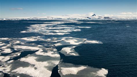 '2023 just blew everything off the charts': Antarctic sea ice hits ...