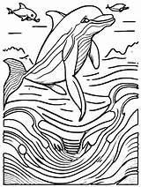 Dolphins Leaping Out Of The Ocean Waves Coloring Page · Creative Fabrica sketch template