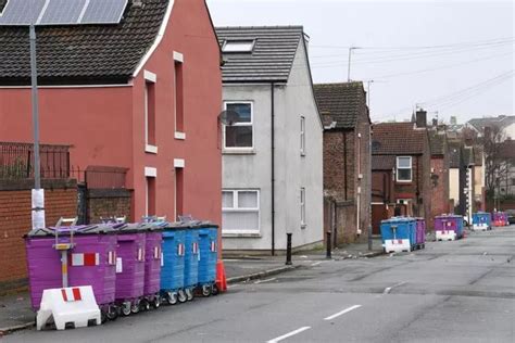 The reality of life with new communal bins after thousands of residents have collections changed ...