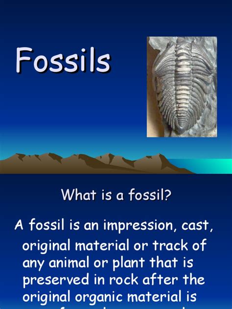 Fossils | PDF
